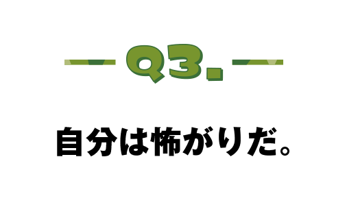 Q.03 自分は怖がりだ。