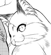 匡（きょう）