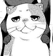 澄（とおる）