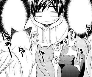 化（ば）け猫（ねこ）